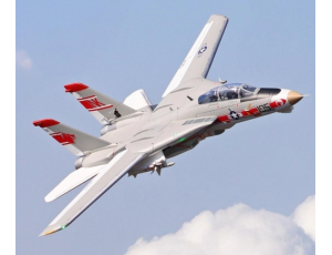 Freewing F-14 V2 Tomcat Twin 64mm EDF Jet PNP Version